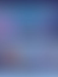 Shein's Data-Driven Design and Rapid Production Model