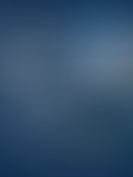 TCS: Global Delivery Model Strategy