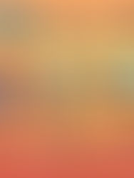 Brand Authenticity in the Age of Hyper-Aware Consumers