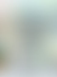 Quikr’s Classified Marketplace Model