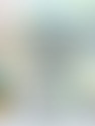 Quikr’s Classified Marketplace Model