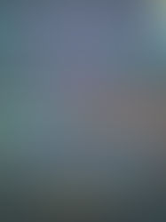 Performance Branding: Balancing Long-Term Brand Building and Short-Term ROI