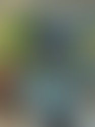 Mamaearth’s Insight into Ingredient-Conscious Consumers