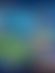 Swiggy's IPL Moment Marketing Strategy: From Gulab Jamun to Sixes at Scale