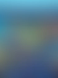 Pepsi India's Cricket-Centric Advertising Strategy