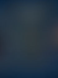 Meesho's Social Commerce Business Model