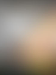 Meaningful Messaging Framework: Why Some Brands Stay in Our Hearts While Others Fade Away