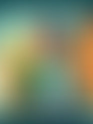 Frooti’s Insight into Mango-Based Beverage Affinity