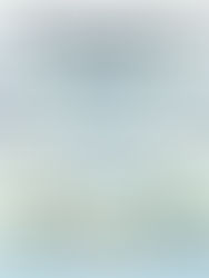 CarTrade's Marketplace Model in India's Used Car Economy