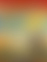 McDONALD'S Franchise-Led Global Expansion Model: Architecture, Strategy, and the Path to 50,000 Restaurants