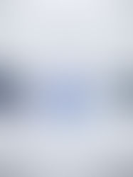 Apple's Integrated Hardware-Software-Services Strategy