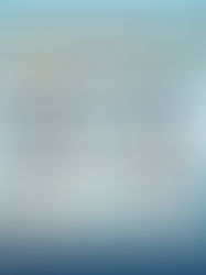 IndiaMART’s B2B Marketplace Revenue Model