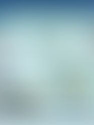 IKEA's Flat-Pack Model: How a Logistics Constraint Became the World's Most Defensible Retail Strategy