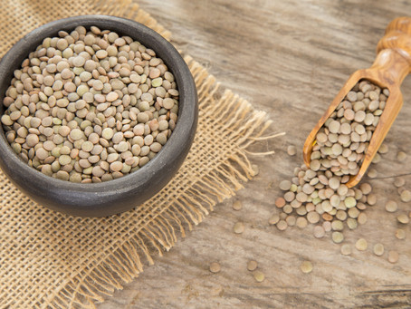The Comfort of Lentils