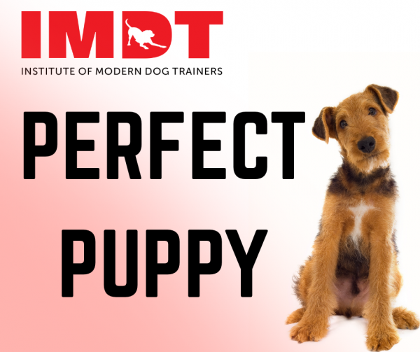 Perfect Puppy Course