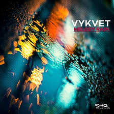cover vykvet  OKKK.jpg