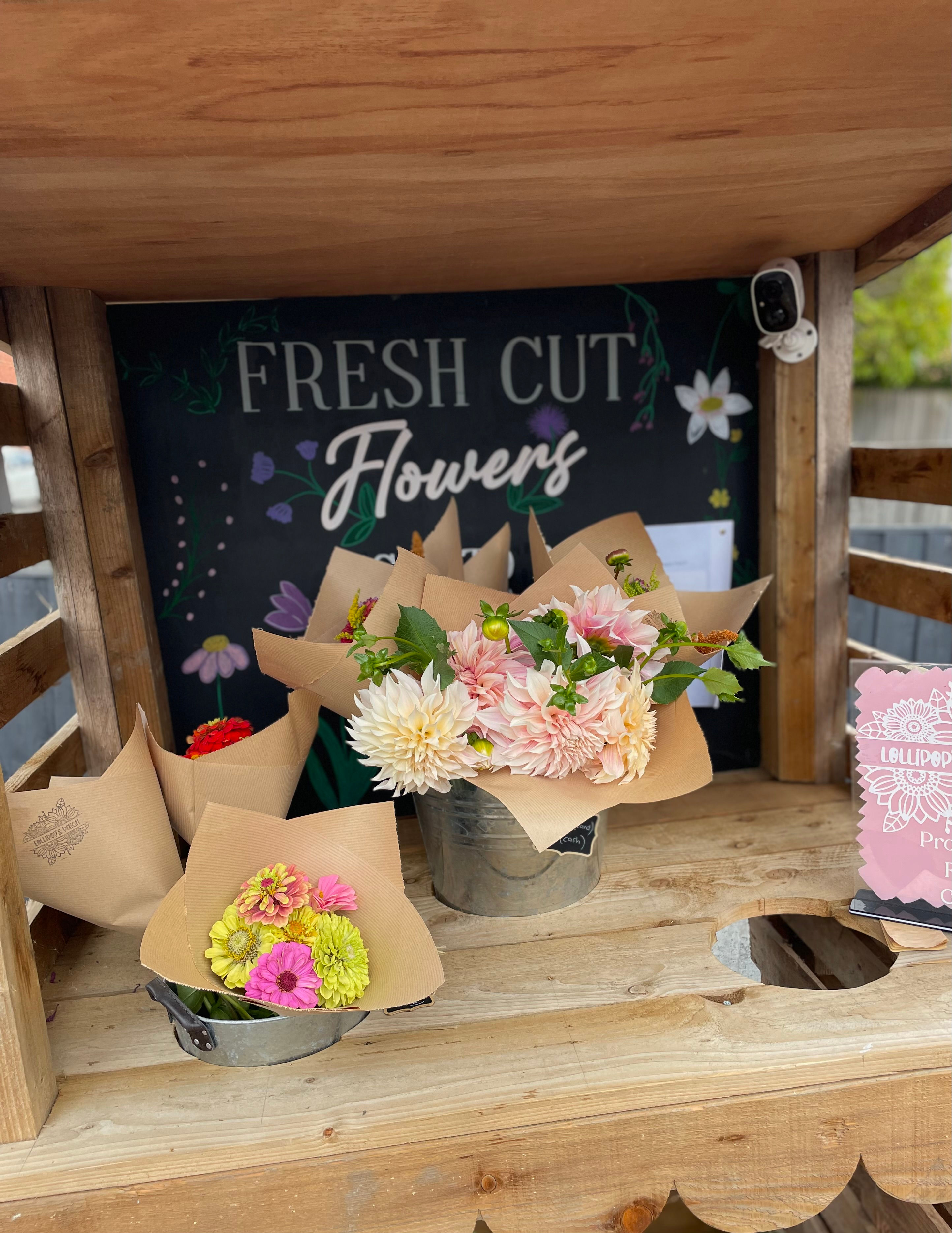 Honesty Stand Flowers