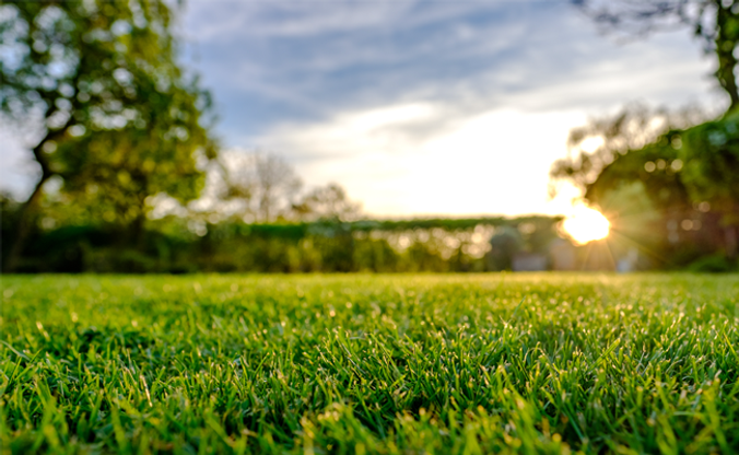 lawncare_support.png
