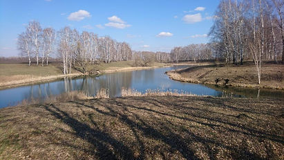 Сидорова Ю родной край.jpeg