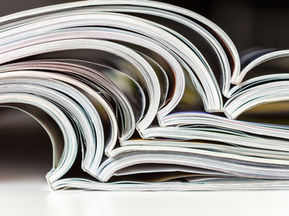 Womens Cancer Research Foundation Article in the Journal of Obstetrics and Gynaecology Research