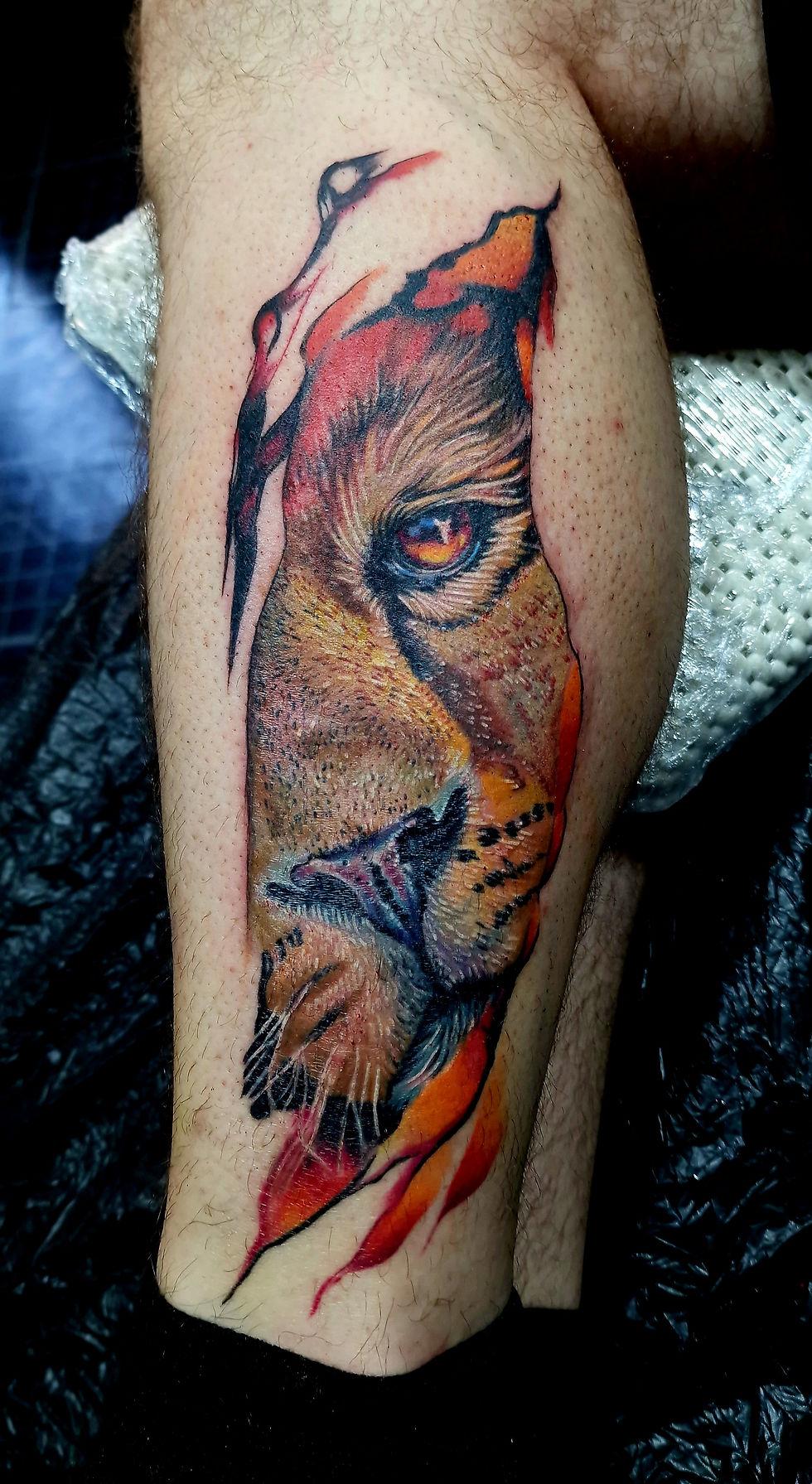 Abstract Lion