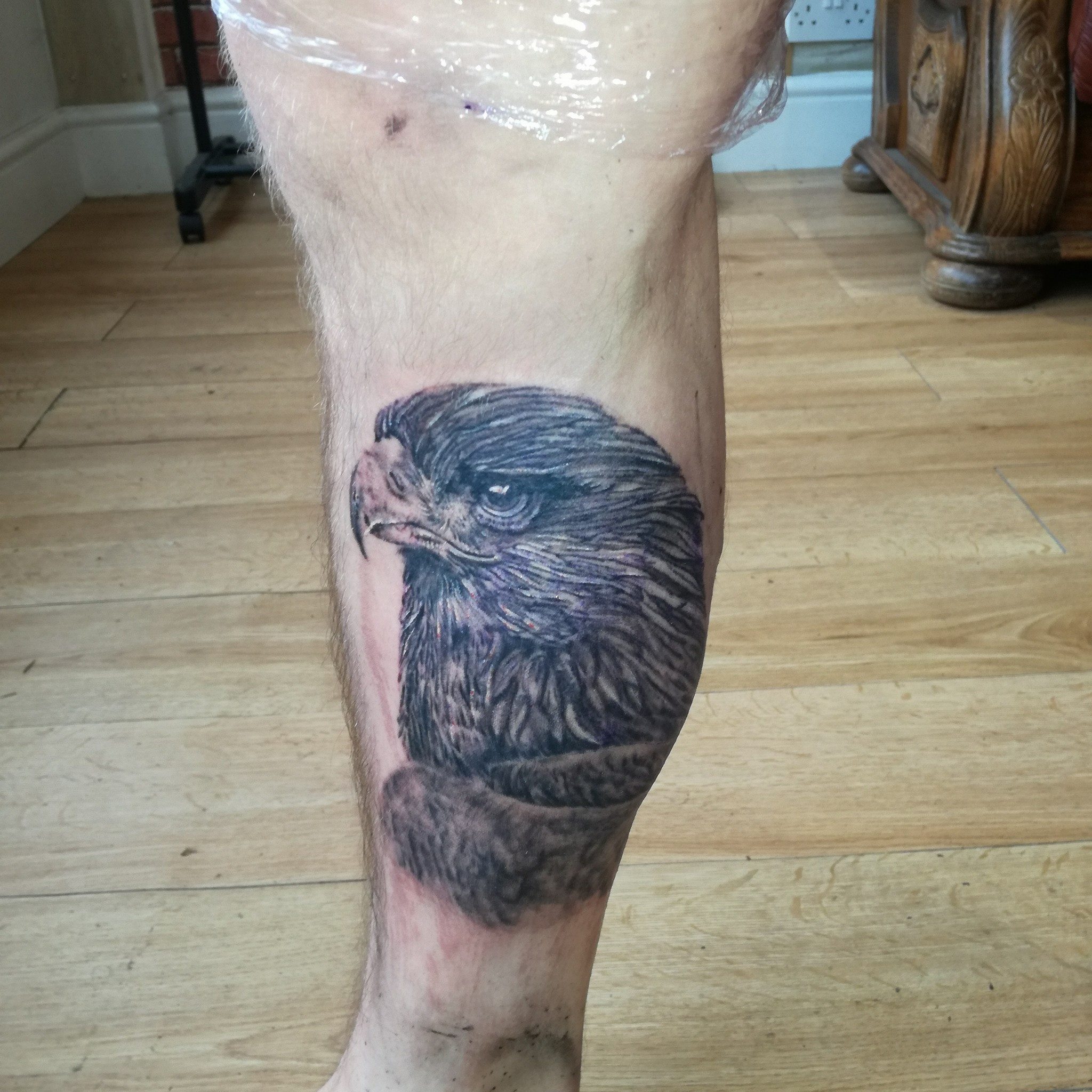 Eagle Portrait