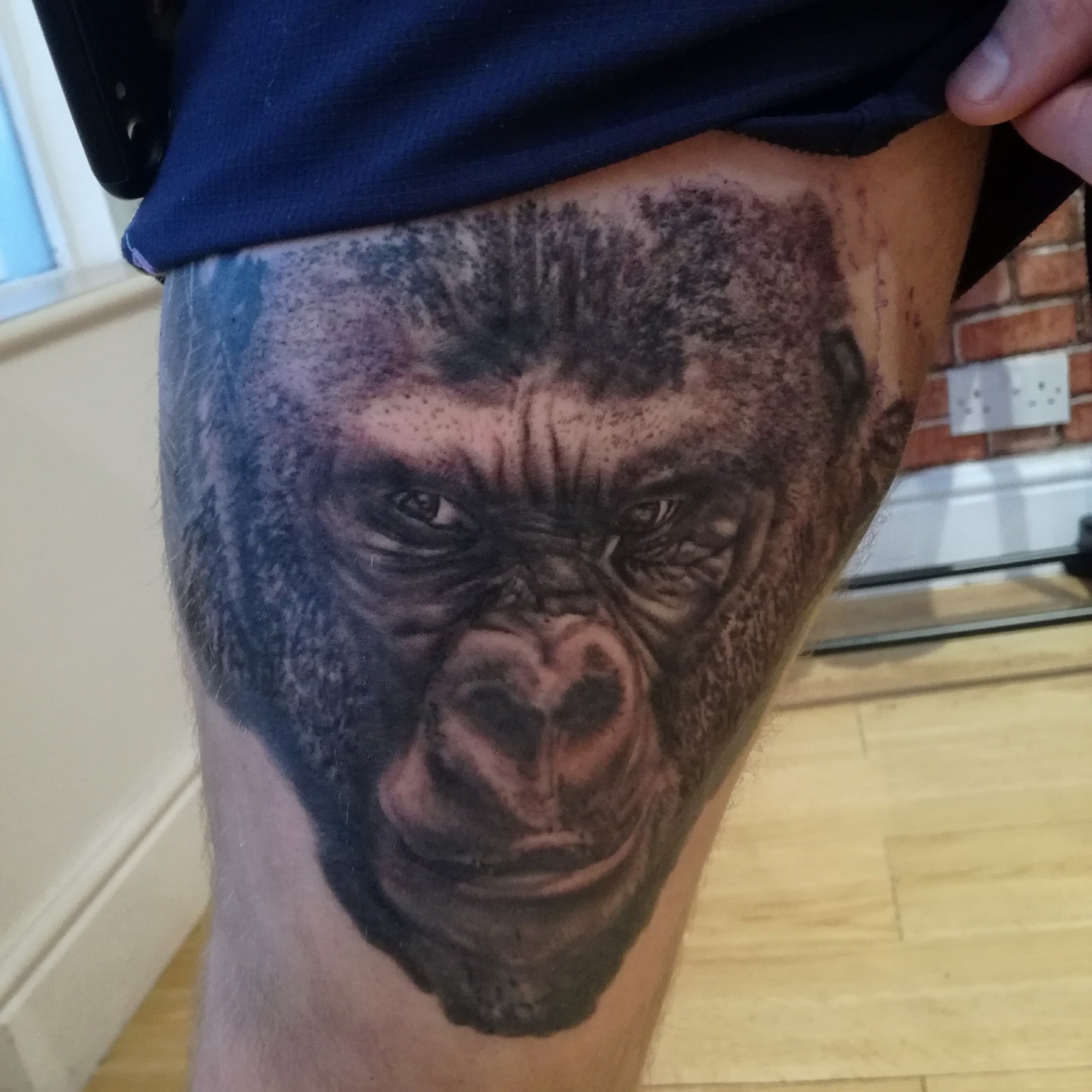 Gorilla