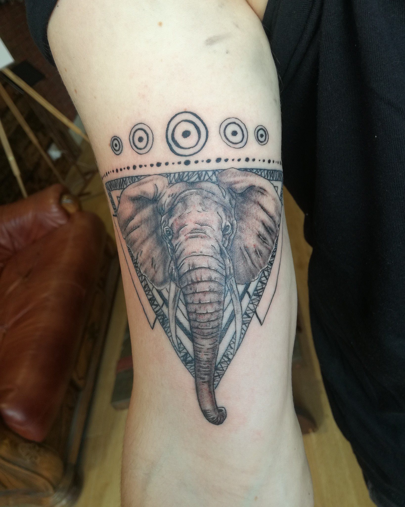 Elephant Geometry