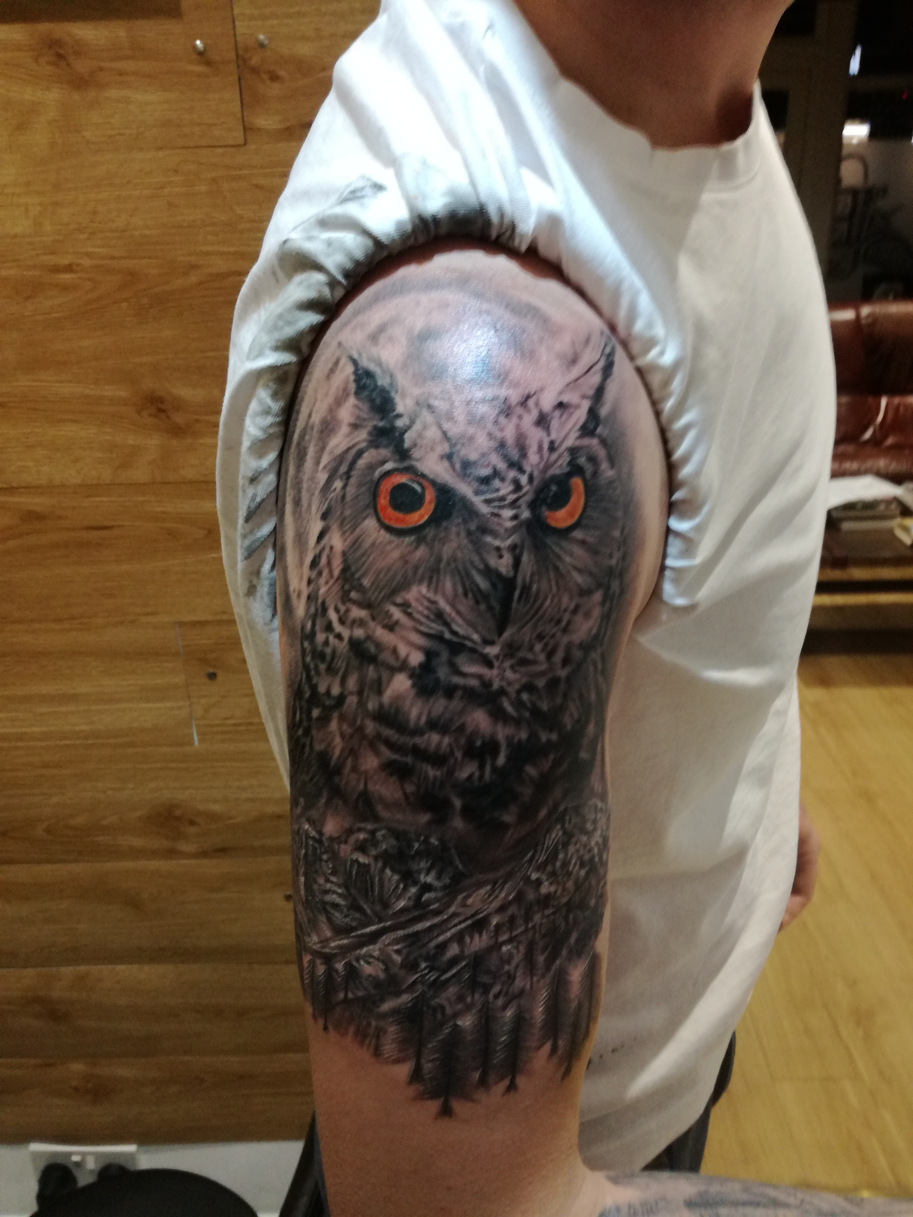 Owl, mountains and tees