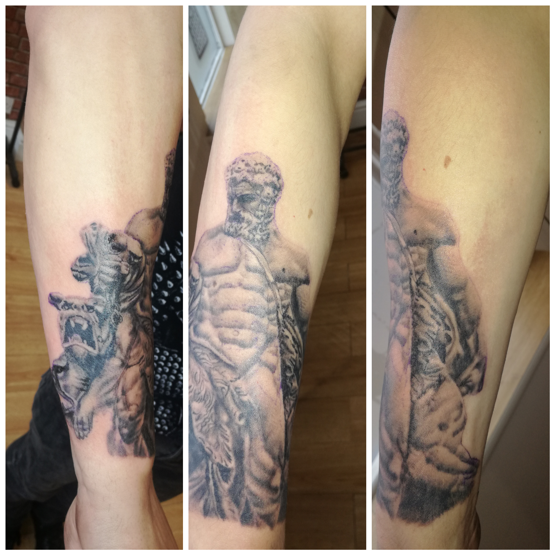 Hercules_Cerberus_Forarm_Front