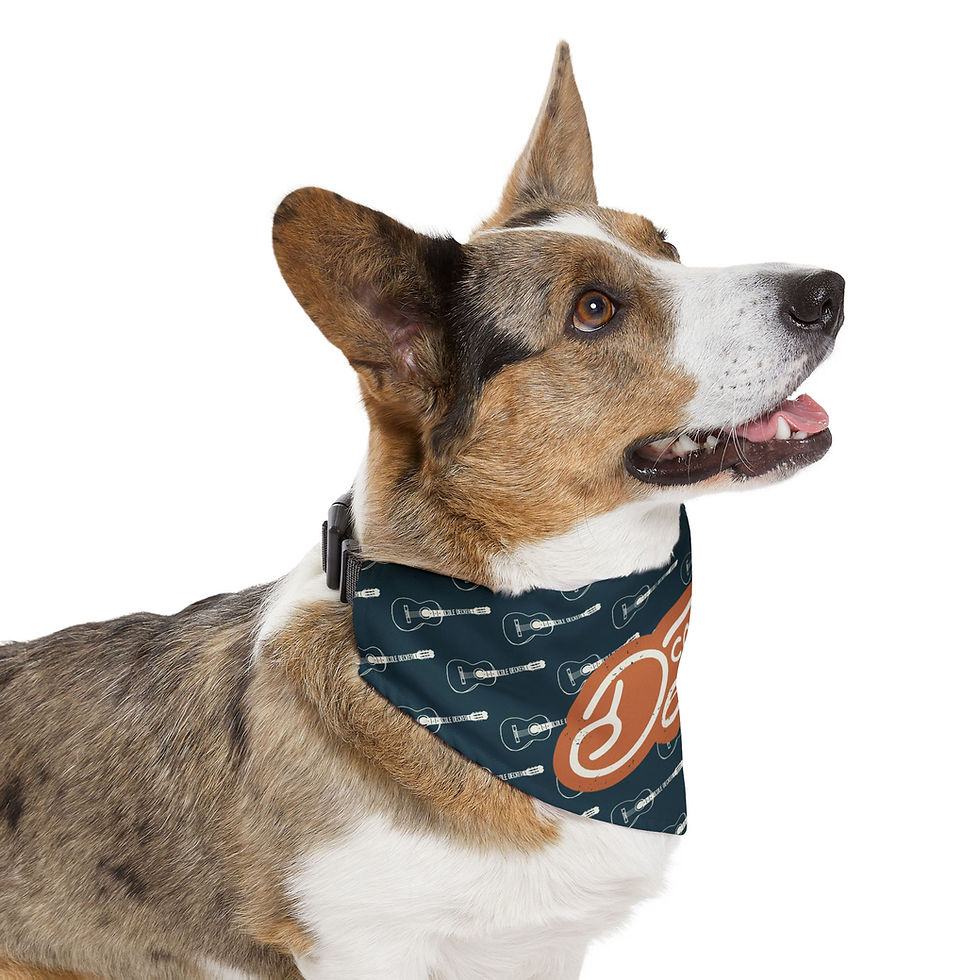 Thumbnail: Pet Bandana Collar