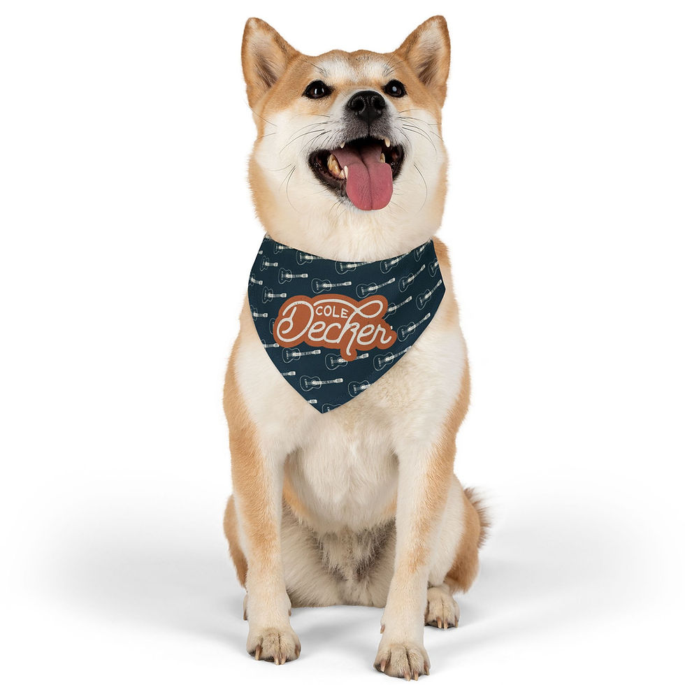 Thumbnail: Pet Bandana Collar