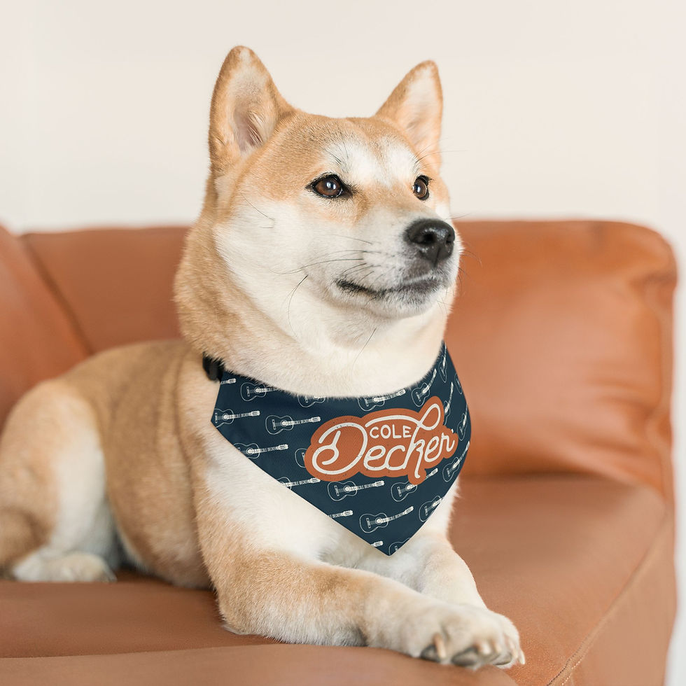 Thumbnail: Pet Bandana Collar