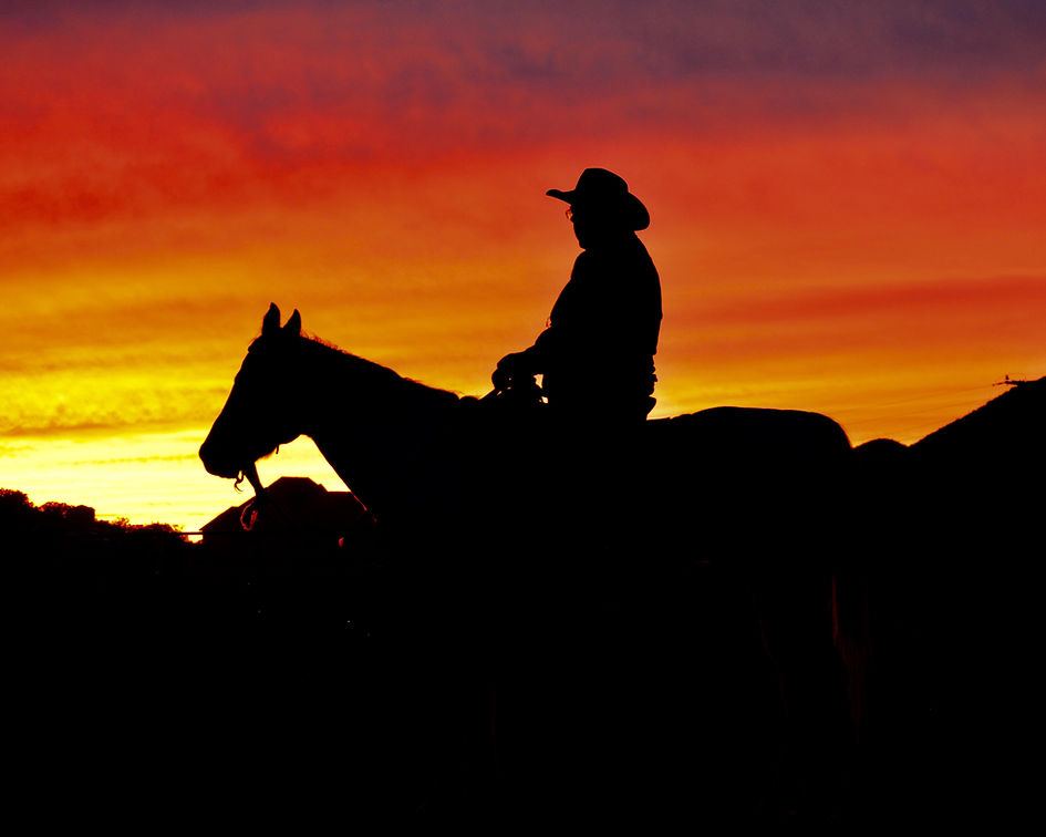 Greg Eliel. Natural horsemanship cow working clinic in california