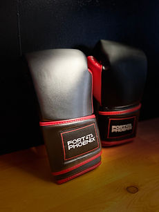 Fort boxing gloves pic.jpeg