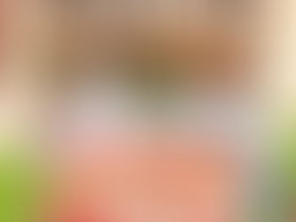 📚さぎの森文庫プチリニューアル🦕