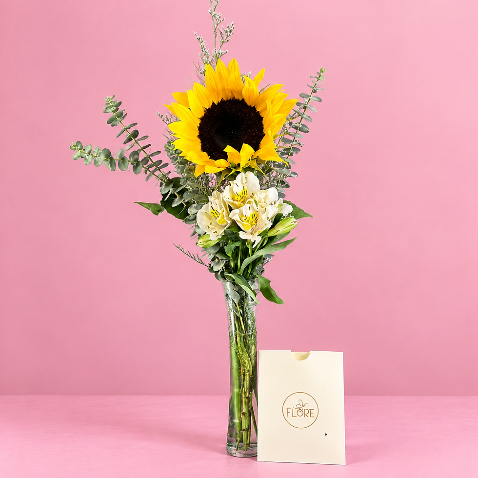 girasol en violetero | Flores amarillas