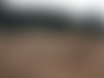 Maison avec terrain 400m2 (Gard)