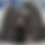 Thumbnail: NEXDOME 2.2M - 8' BACKYARD OBSERVATORY