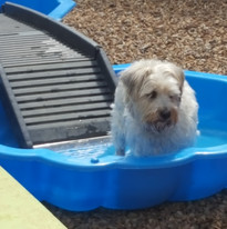 20161031_104201 (1).jpg