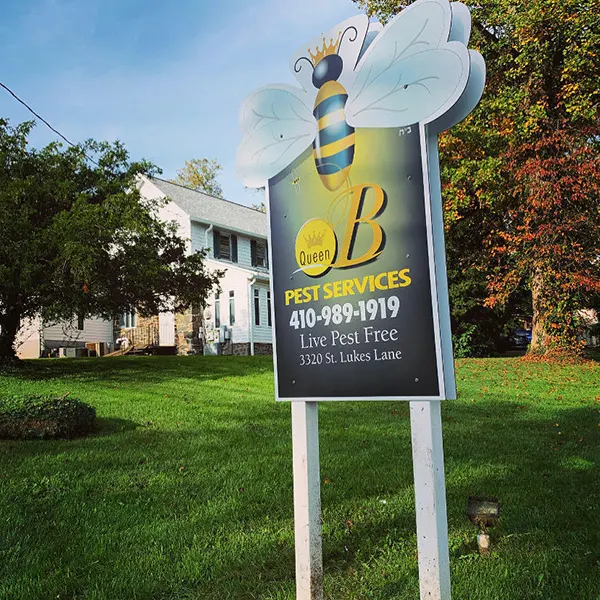Queen B Pest Services