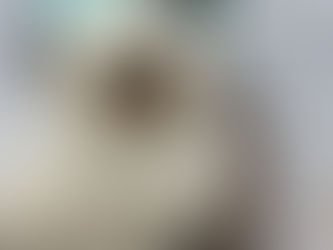 De er supervakre kattungene til NO*Elins Diamanter Fanny Felicia og SE*Lil'Magics Catch Me Not!!