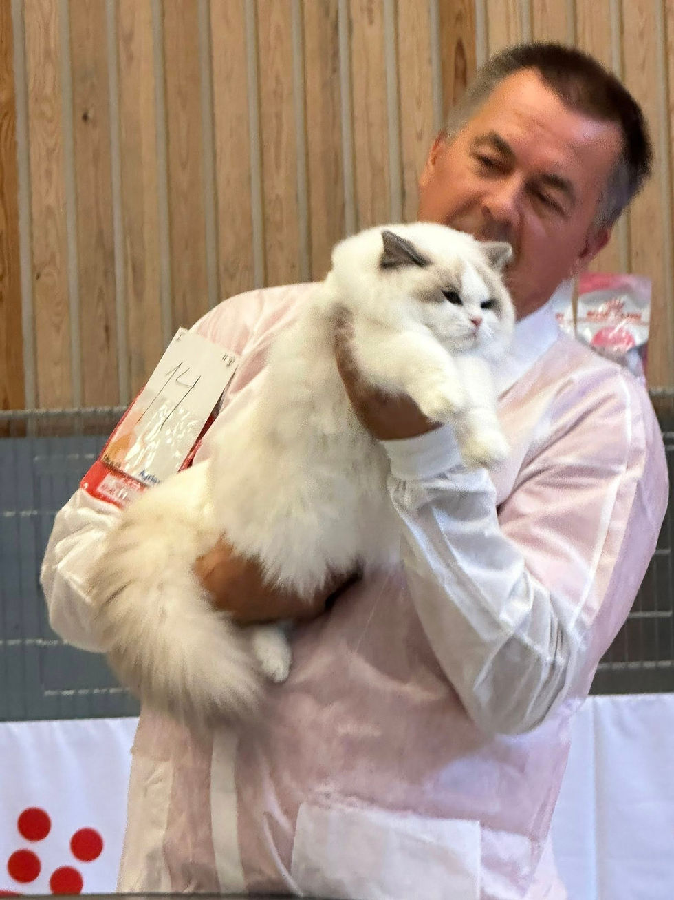 JCH NO*Elins Diamanter Vici Victoria of Jazz