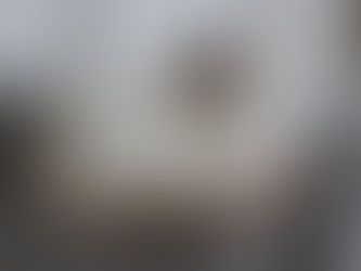 Lotte er 6mnd. i dag!