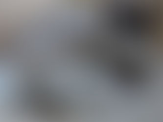 Velkommen til Q-kullet! Fem flotte kattunger ble født den 15.mars 2019!