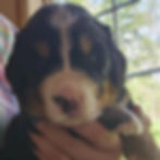 3 weeks