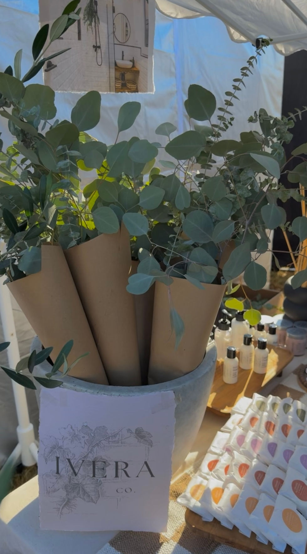 Thumbnail: Fresh-Cut Eucalyptus