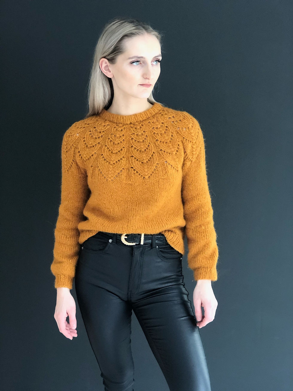 Miniatyrbilde: Alyagenser