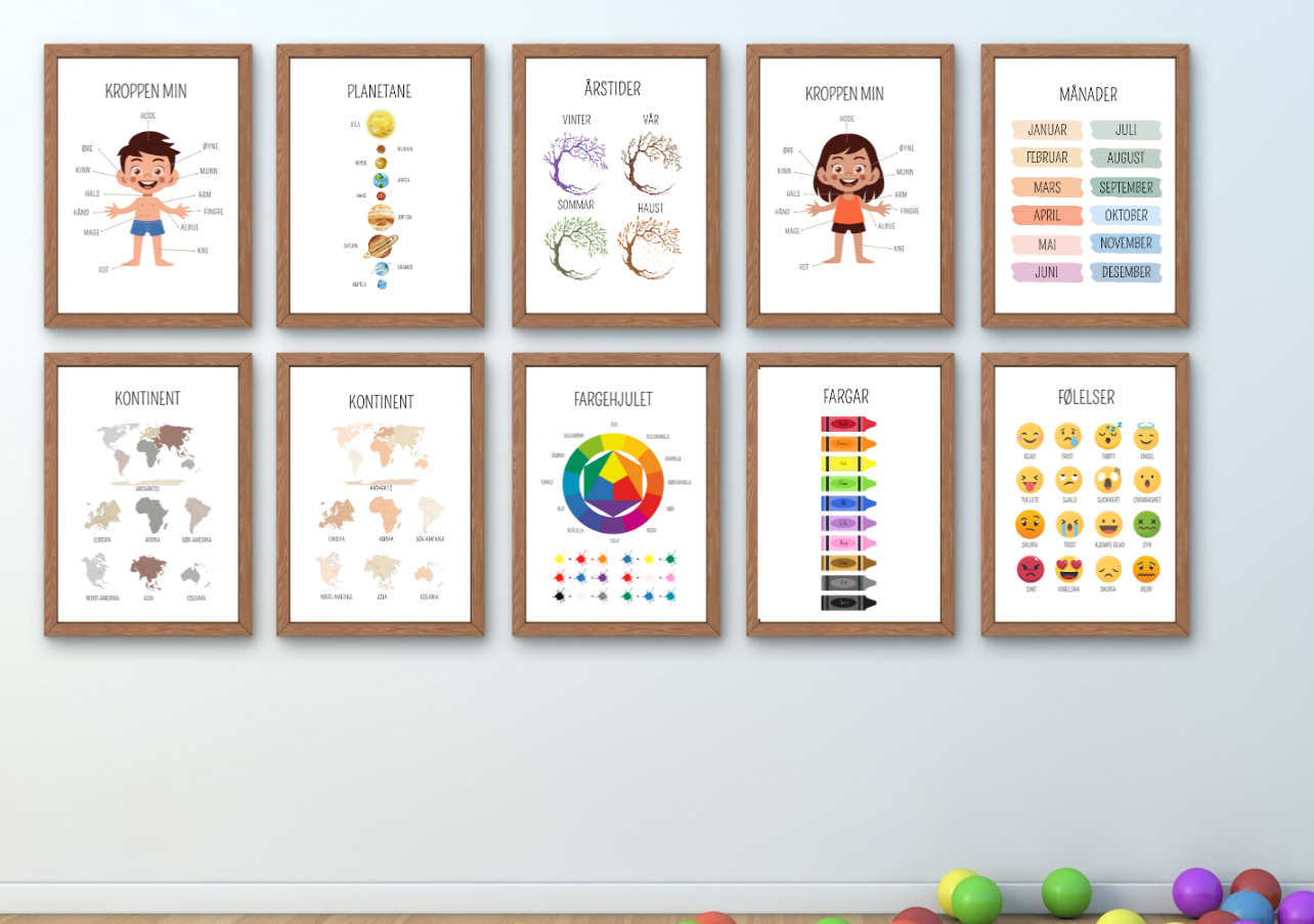 Læringsplakater - Naturfag (nynorsk)