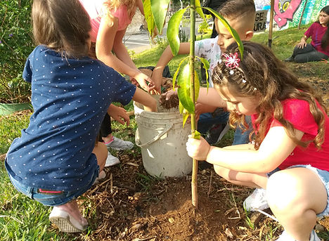 Conciencia ambiental